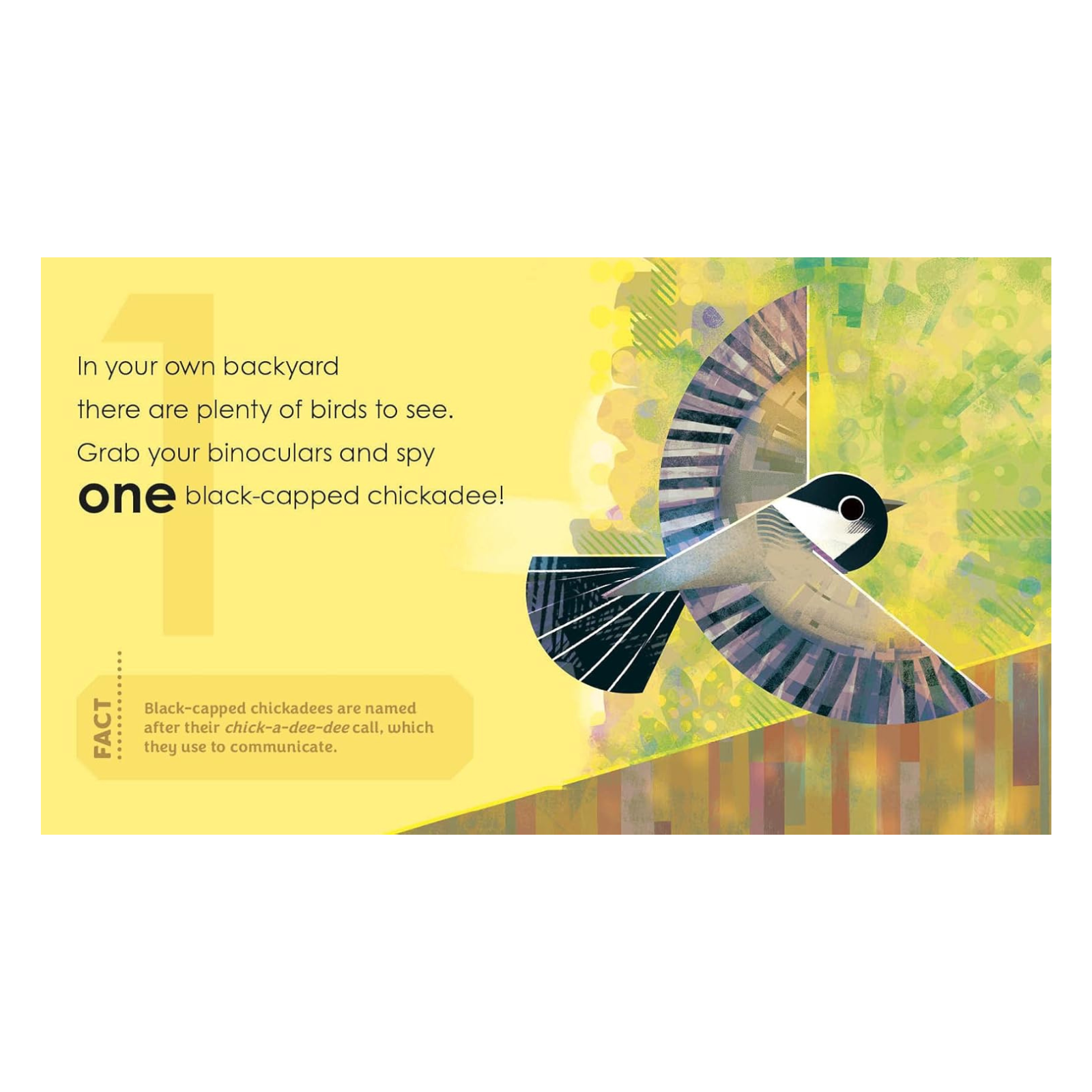 'Birding For Babies' Backyard Birds Book - A Numbers Book